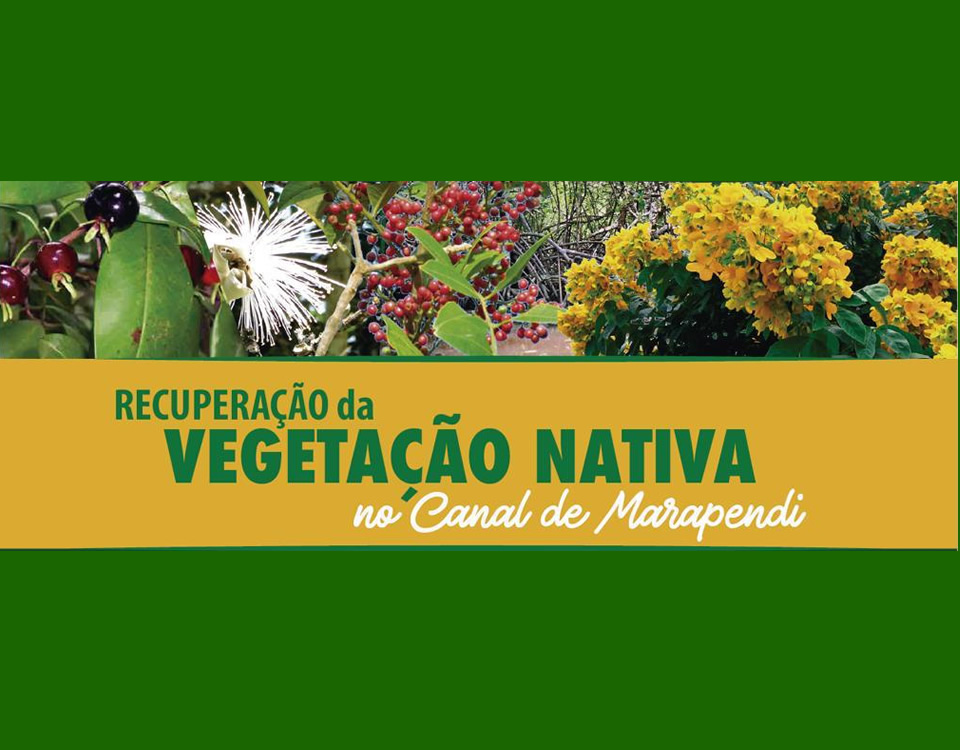 vegnativa